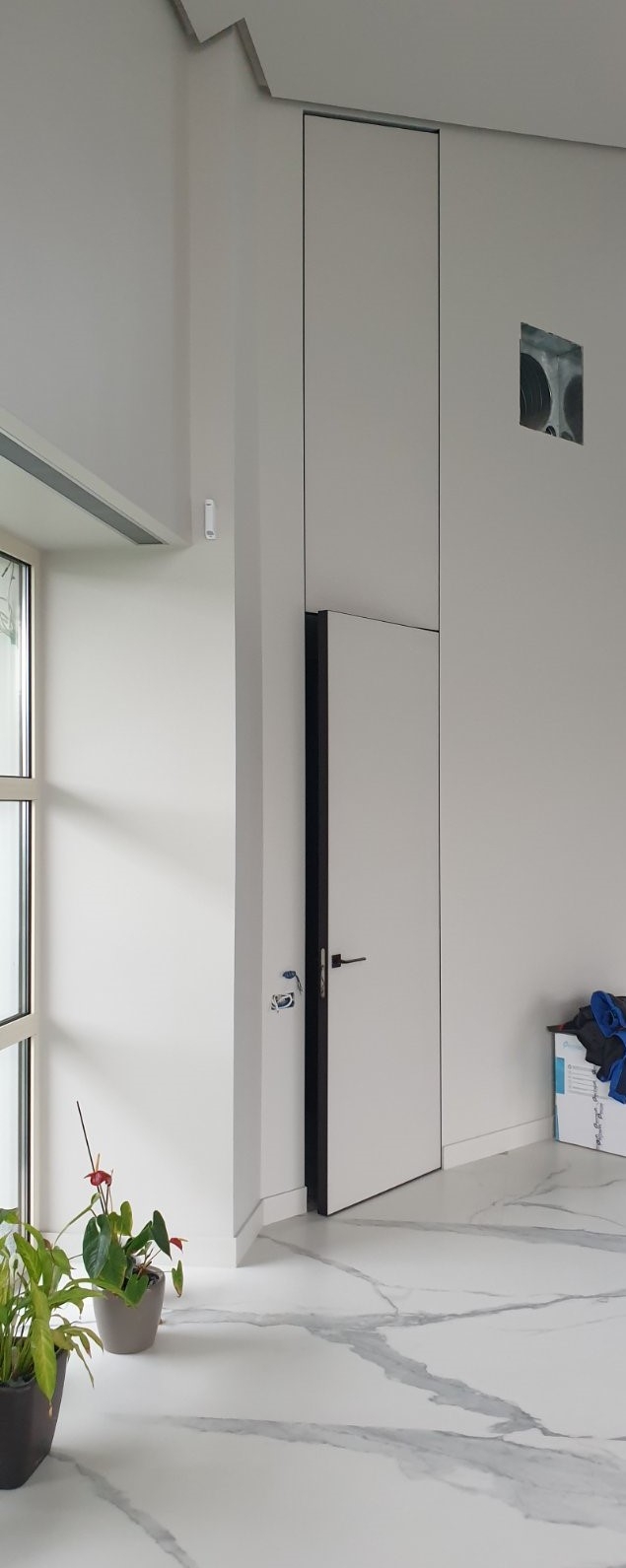 Двері з прихованою коробкою