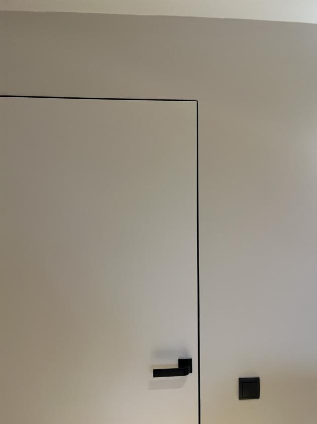 Двері з прихованою коробкою - під колір стін