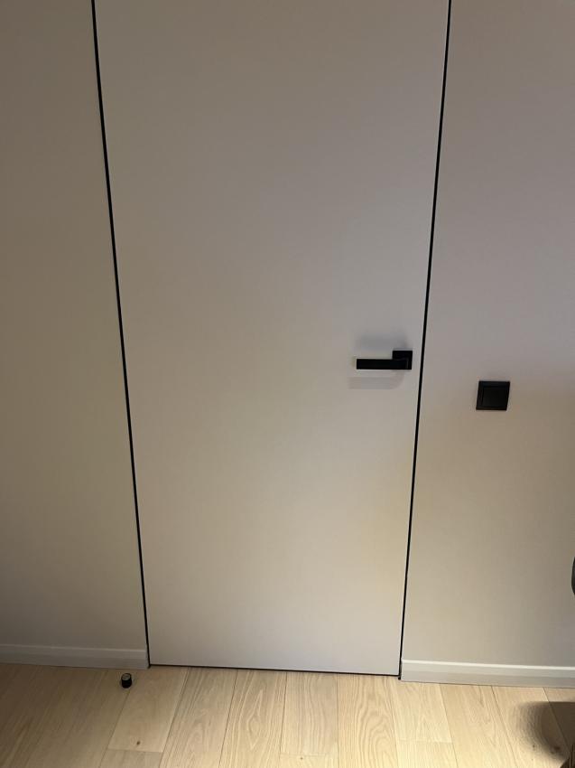 Двері з прихованою коробкою - під колір стін