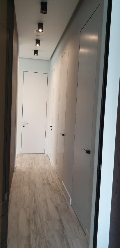 Двері з прихованою коробкою